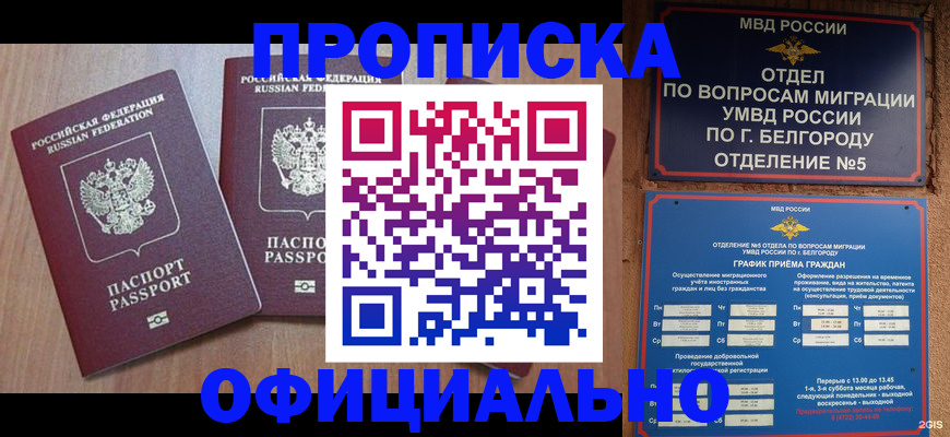 найти адрес прописки в Электрогорске